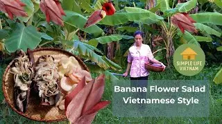 👉 &ldquo;A Day in the Life of a Vietnamese Farmer | Traditional Meal with Banana Flower Salad&rdquo;