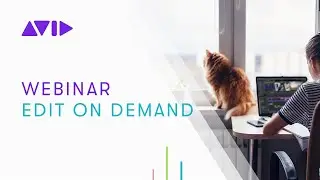 WEBINAR: Edit from anywhere with Avid | Edit On Demand