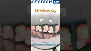 WOW! KEYTECHLED FOOD DELIVERY BOX! Come and have a look！