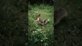 A Squirrel Calls its Mate! #animals