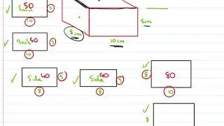 surface area