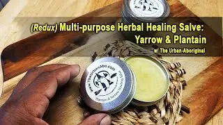 (Redux) Multi-purpose Herbal Healing Salve: Yarrow & Plantain w/ The Urban-Aboriginal