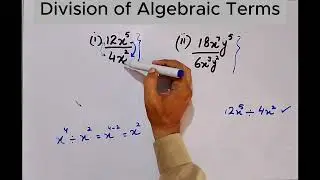 Division of Algebraic Terms (urdu) | How to Divide Single Terms in Algebra