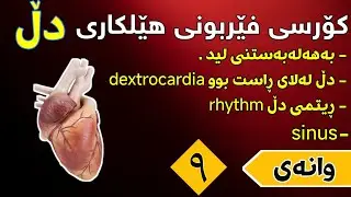 کۆرسی فێربونی هێلکاری دڵ وانەی (( ٩ ))