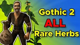 Gothic 2 &ndash; Ultimate Rare Herbs Guide (All Dragonroots, Goblin Berries, King's Sorrels) Locations...