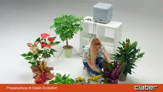 8054 - Oasis Evolution