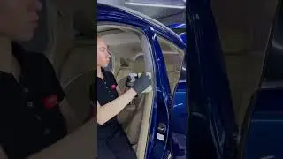 Shima Detailer 