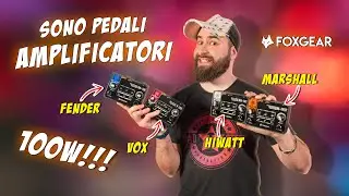 AMPLIFICATORI 100W formato PEDALE! | Foxgear 100W Series