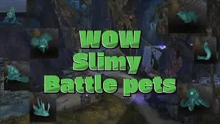 WOW Slimy Battle pets: Nazjatar
