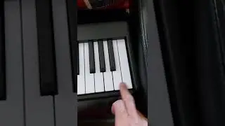 Bora bx20 88 key keyboard  failure