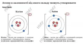 1к Л1 Хімічний склад організму людини