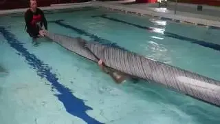 Sven Rolling - Faster Lines Multisport Kayak Course