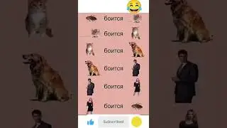 #foryou #viralvideo #funny #юмор #шуточное #мем #смехпродлеваетжизнь #дуэт #смешновидео #memes #мем