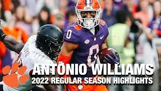 Antonio Williams Regular Season Highlights | Clemson WR