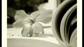 Residence Deejays -  Sexy Love Acoustic Mix