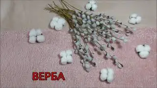 Веточки вербы своими руками. Пасхальная композиция.
