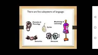 subsystem of language| phonology, morphology, syntax, semantics, pragmatic|  component of language|
