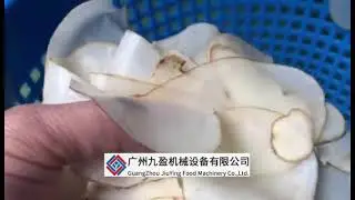 TJ-400S High speed vegetable shredding and slicing machine