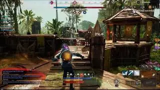 New World PVP FS IG