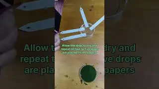 leave pigments separation by paper chromatography #biology #botany #chromatography