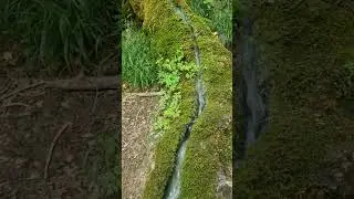 Natural Phenomenon: Stone Gutter #shorts