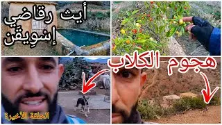 مغامرة تماسينت _ الحلقة الأخيرة