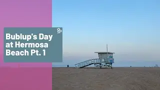Bublup's Day in Hermosa Beach (Instagram Stories)
