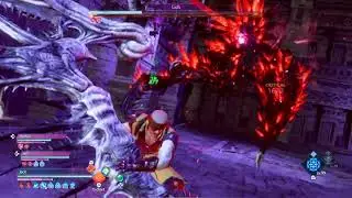 [PS4] Stranger of Paradise: Final Fantasy Origin - Critical Status Tyrant