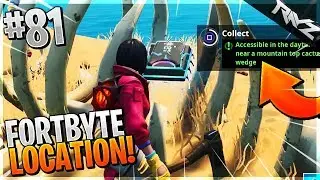 Fortbyte #81 | Accessible In The Daytime Near A Mountain Cactus Wedge (Fortnite Fortbyte Guide)