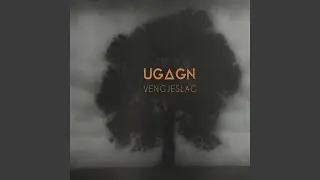 Gr&aring;t kje