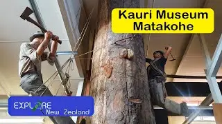 Exploring the Matakohe Kauri Museum - A Hidden Gem!