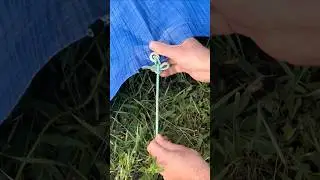 This knot is perfect for securing tarps, tents, or guy lines! ⛺ #campingknot, #bushcraftskills