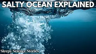 The Secret Science Behind Salty Seas | Sleepy Science Stories