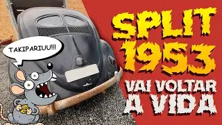FUSCA SPLIT 1953 DE VOLTA A VIDA!🤩