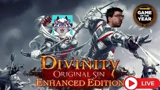 Divinity Original Sin Co-op with my partner! Testing Vertical streaming!