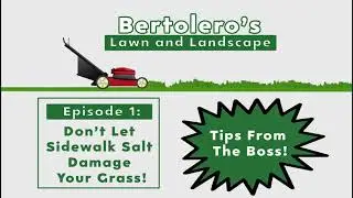 Does Rock Salt Hurt My Grass? - Tips From The Boss