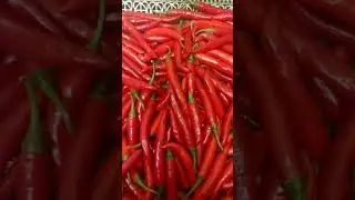 red.mirchi