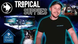 The LARGEST Independent FISH STORE in the UK?! | Tropical Supplies Shop Tour | Hidden Gems