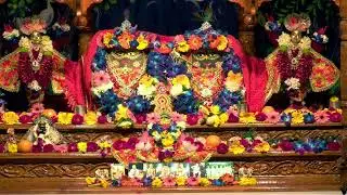 LIVE ISKCON Govardhan || Gaura Ārati  31.1.2026
