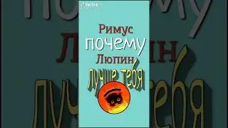 Римус Люпин в тик токе 4