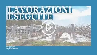 Azienda Agricola Argillaia_Lavorazioni eseguite presso la nostra azienda di mirtilli a Bollate (MI)