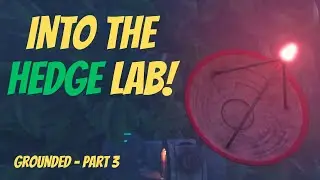 Time to hedge our bets | Grounded ~ Part 3