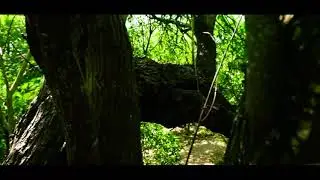Beautiful Puloz steadicam 60fps footage