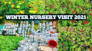 WINTER NURSERY VISIT 2021 | WONDERFUL NURSERY LOADED WITH GORGEOUS WINTER PLANTS