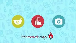 Little Medical School