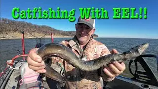 Catfishing With EEL. First time fishing with eel on lake Oologah.