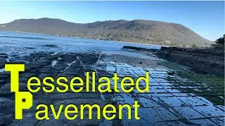 Tessellated Pavement, Tasmania.Australia @LesielsLifeinAustralia