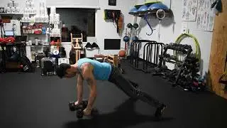 Plank Dumbbell Row DEMO