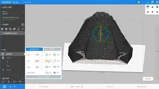 RAYDENT Studio_study model 1
