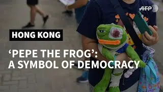 'Pepe the Frog': No, the Hong Kong kids aren't alt-right | AFP